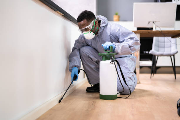 Best Fumigation Services  in Port Lavaca, TX